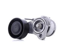 INA 534 0252 10 - Tendicinghia, Cinghia Poly-V