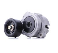 Braccio tenditore, cinghia a V INA 534 0284 10