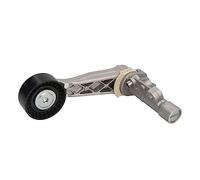 INA 534 0318 10 Braccio tenditore Cinghia Poly-V