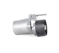 Schaeffler INA 534 0320 10 Tendicinghia, Cinghia Poly-V per BMW