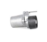 INA 534 0320 10 Braccio tenditore Cinghia Poly-V Ø55mm per BMW 3 Sedan (E90)