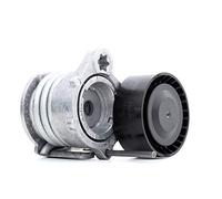INA 534033110 tendicinghia cinghia Poly-V diametro 64 mm larghezza 26 mm