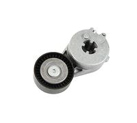 INA 534 0333 10 Braccio tenditore Cinghia Poly-V