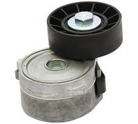 Tendicinghia multirighe 534 0334 10 INA per FORD VOLVO PEUGEOT FIAT LANCIA