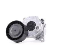 INA 534 0337 10 Braccio tenditore Cinghia Poly-V Ø65mm