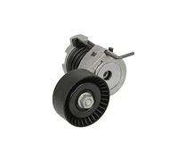 Schaeffler INA 534 0366 10 Tendicinghia, Cinghia Poly-V per BMW