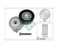 INA 534 0375 10 Tensionatore Cinghia A Vite Per Audi A4 8EC 8ED 8HE 8K2 A5 A6