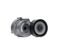 Ina 534 404 10 Braccio Tenditore, Cinghia PolyV