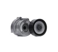 Ina 534 404 10 Braccio Tenditore, Cinghia PolyV