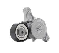 INA 534 0420 10 Braccio tenditore Cinghia Poly-V