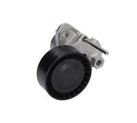 INA 534 0480 10 Braccio tenditore Cinghia Poly-V