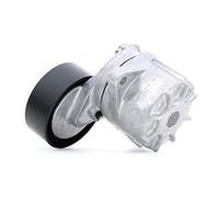 INA 534 0481 10 Braccio tenditore Cinghia Poly-V