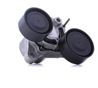 INA 534 0482 10 Braccio tenditore Cinghia Poly-V