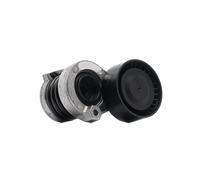 INA 534 0551 10 Braccio tenditore, Cinghia Poly-V