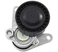 INA 534 0552 10 Braccio tenditore Cinghia Poly-V