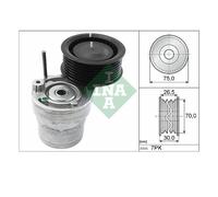 INA 534 0603 10 Tensionatore Cinghia A V Per Renault Twingo III Smart
