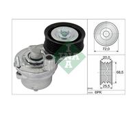 INA 534 0703 10 Tensionatore Cinghia A V Per Opel Antara Chevrolet