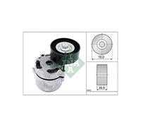 INA 534 0711 10 Braccio tenditore, Cinghia Poly-V