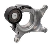INA 534 0794 10 Tenditore cinghia servizi