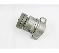 Ina 534 102 30 Braccio Tenditore, Cinghia PolyV