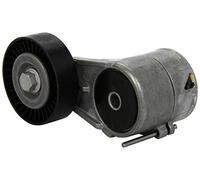 534011520 Tendicinghia, Cinghia Poly-V (MARCA-INA)..