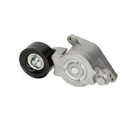 Tendicinghia multirighe 534 0133 30 INA per VOLVO RENAULT