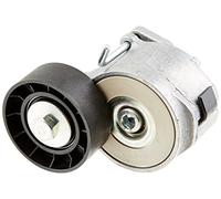 Ina 534 241 10 Braccio Tenditore, Cinghia PolyV