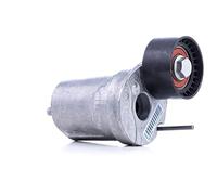 Ina 534 402 10 Tendicinghia