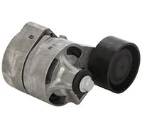 Schaeffler INA 534 0434 10 Tendicinghia, Cinghia Poly-V per FORD,FORD (JMC),FORD