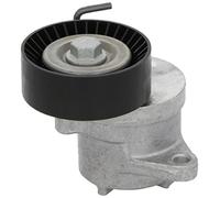 Ina 534 439 10 Braccio Tenditore, Cinghia PolyV