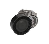 Schaeffler INA 534 0050 10 Tendicinghia, Cinghia Poly-V per BMW,BMW (BRILLIANCE)