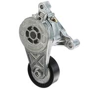 INA 534 0059 10 Braccio tenditore, Cinghia Poly-V
