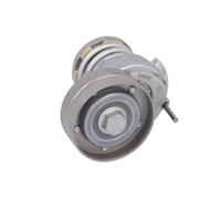 Ina 534006510 Tensionatori