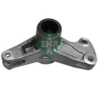 INA 534 0079 20 Braccio tenditore, Cinghia Poly-V
