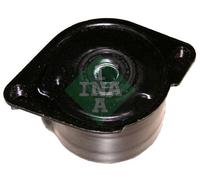 INA 534017010 tendicinghia cinghia Poly-V
