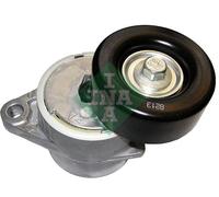 INA 534029010 tendicinghia cinghia Poly-V diametro 76 mm larghezza 29 mm