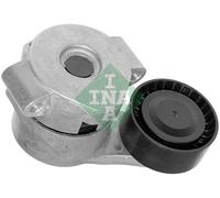 INA 534 0308 10 Braccio tenditore, Cinghia Poly-V