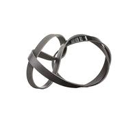 INA 537 0014 10 - Cinghia Poly-V
