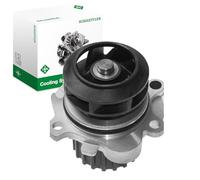 Pompa del refrigerante INA 538 0006 10