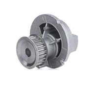 INA 538 0030 10 - Pompa Acqua