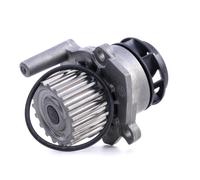 INA 538 0054 10 - Pompa Acqua