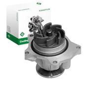 INA 538 0272 10 Pompa acqua Compatibilità con FORD GALAXY WGR Escort VI Hatchback GAL, AAL, ABL SIERRA 2 volumi/Coda spiovente GBC, GBG SIERRA GBG, GB4 Escort V Hatchback GAL SCORPIO I GAE, GGE