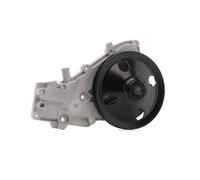 Ina 538 0376 10 Pompa Acqua Motore per Renault Rapid Super 5 9 11 19 I