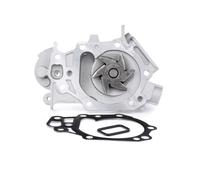 Schaeffler INA 538 0398 10 Pompa dell’acqua, raffreddamento motore per NISSAN,RE