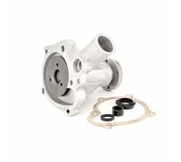 INA 538 0496 10 Pompa acqua