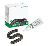 INA Kit catena pompa olio 558 0083 10 per Opel/Vauxhall