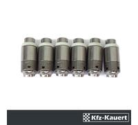 INA 6x Idraulico Valvola Punteria Adatto A per Porsche 993 C2 C4 Rs