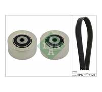 INA Cinghia A Vite Per Peugeot 307 3A/C 3H 3E Citroën C3 I FC FN HB