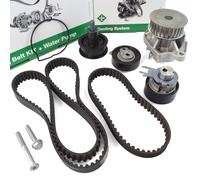 Pompa dell'acqua + kit cinghia di distribuzione INA 530 0538 30