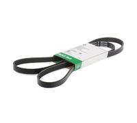 INA FB 5PK1750 Cinghia servizi